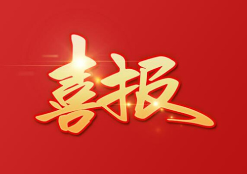 ���Ų��ƹ�˾������ԣ��2019-21�ŵؿ�